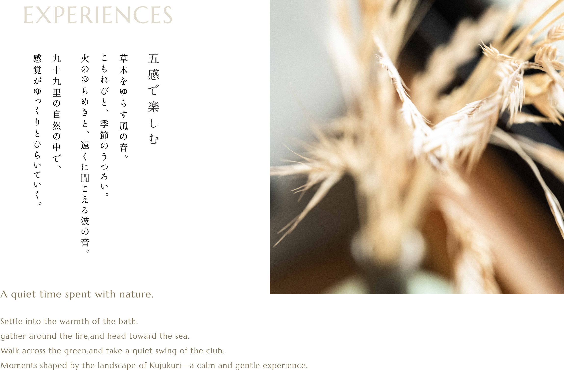 EXPERIENCES